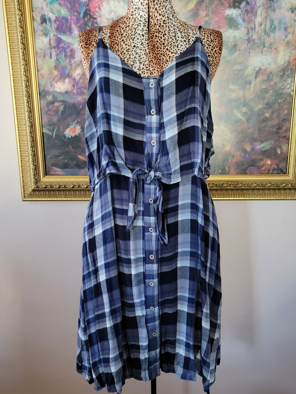 Universal Thread Blue Plaid Button-Front Tie-Detail Mini Dress